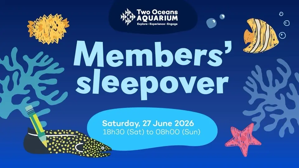 SOLD OUT: Members’ Sleepover 