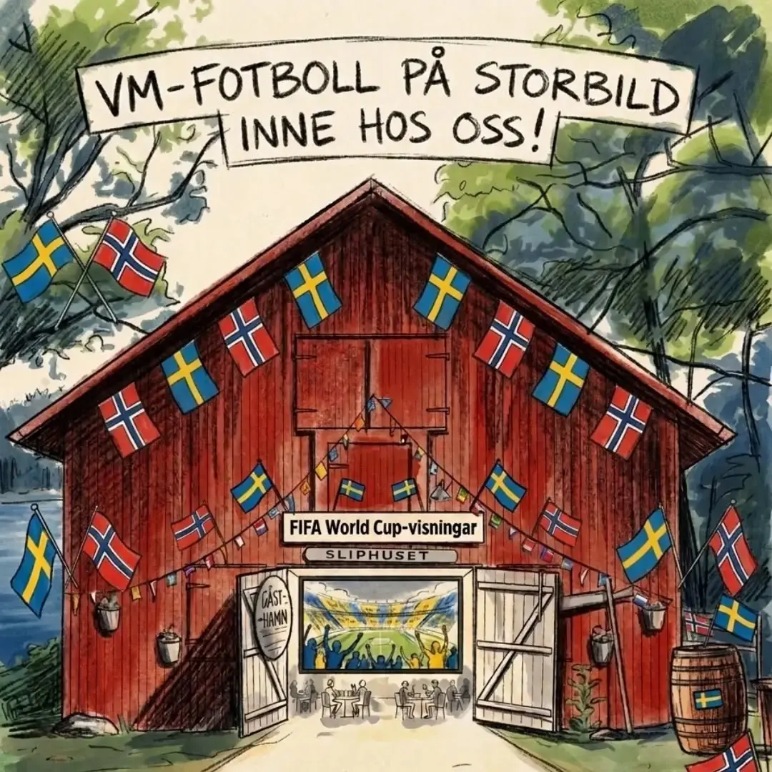 VM-Fotboll på Storbild – Norges match