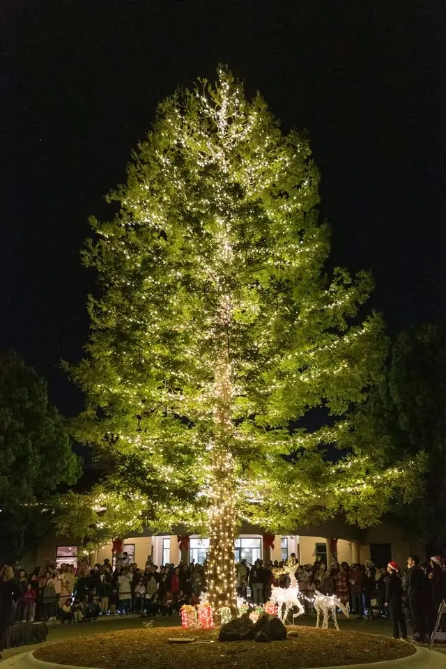 Community Tree Lighting