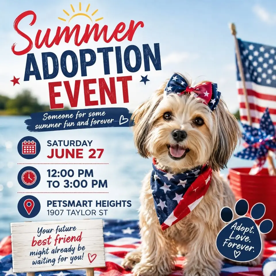 June Adoption Event - Heights