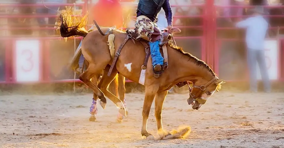 2026 Utah Days of '47 Rodeo - July 22