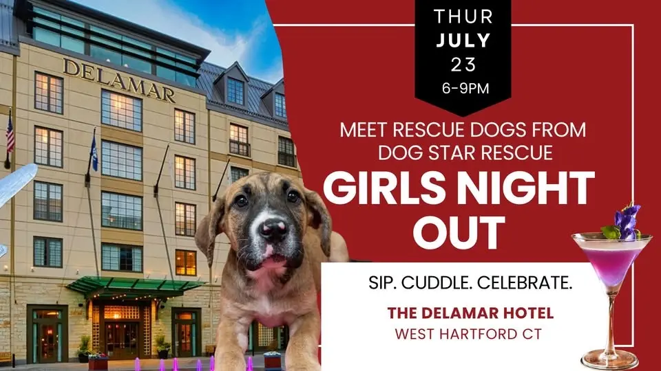 Puppy Snuggling & Girls Night Out Events at The Delamar