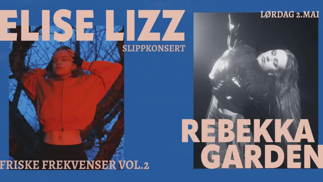 FRISKE FREKVENSER VOL. 2
