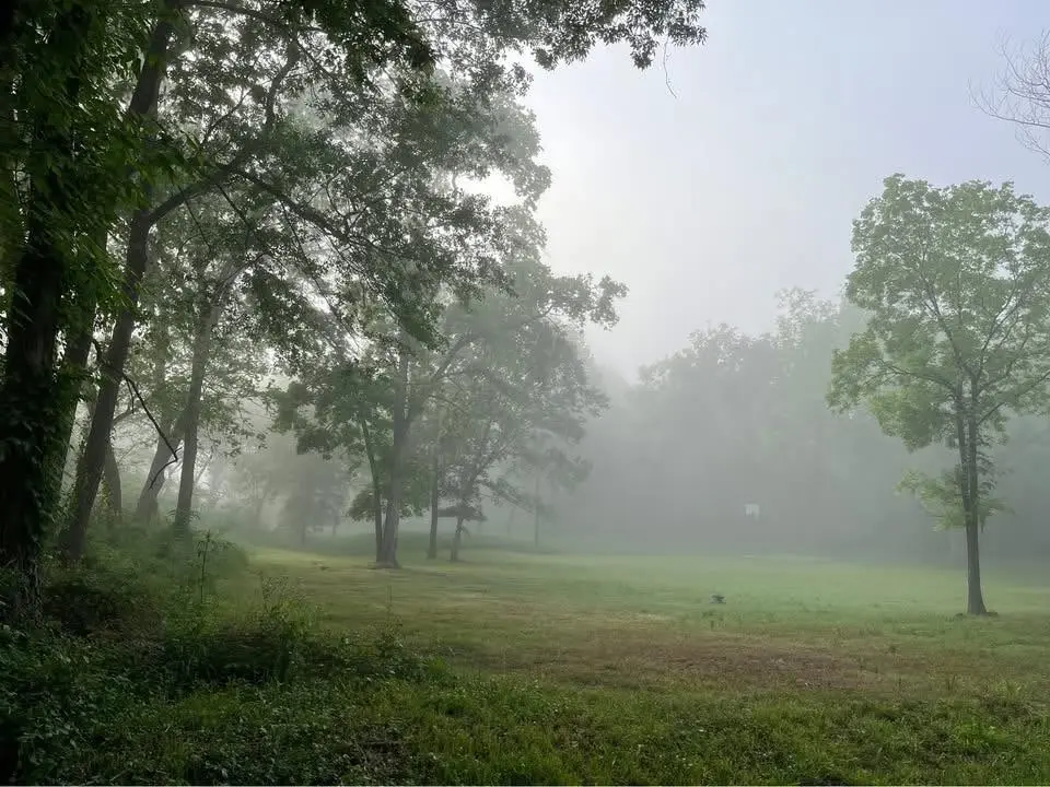 Fridays at Rose Creek Park
