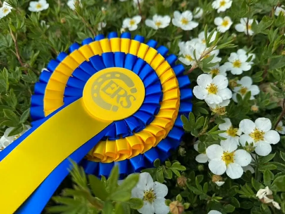Enskedes dressyrtävling 6 juni