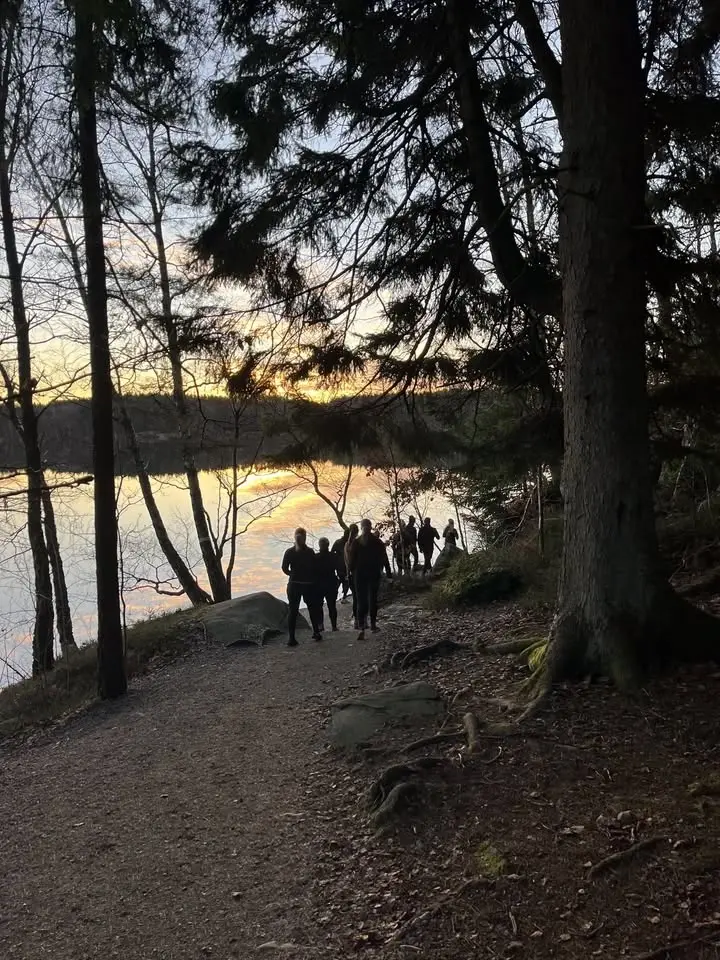 Lågpulsmilen