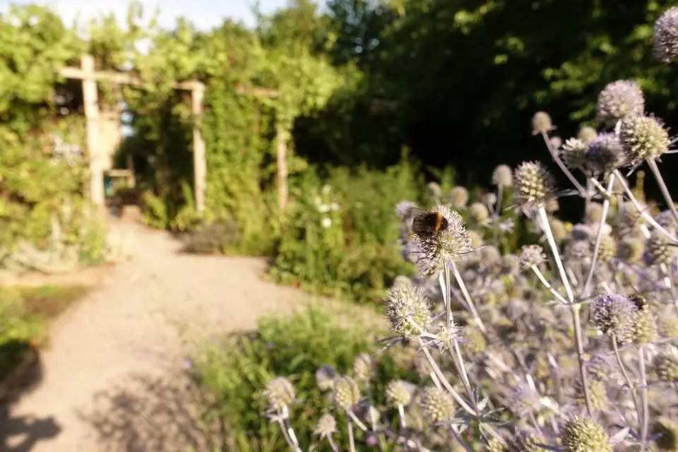 Garden open day