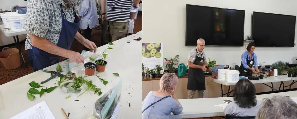 Propagation Workshop
