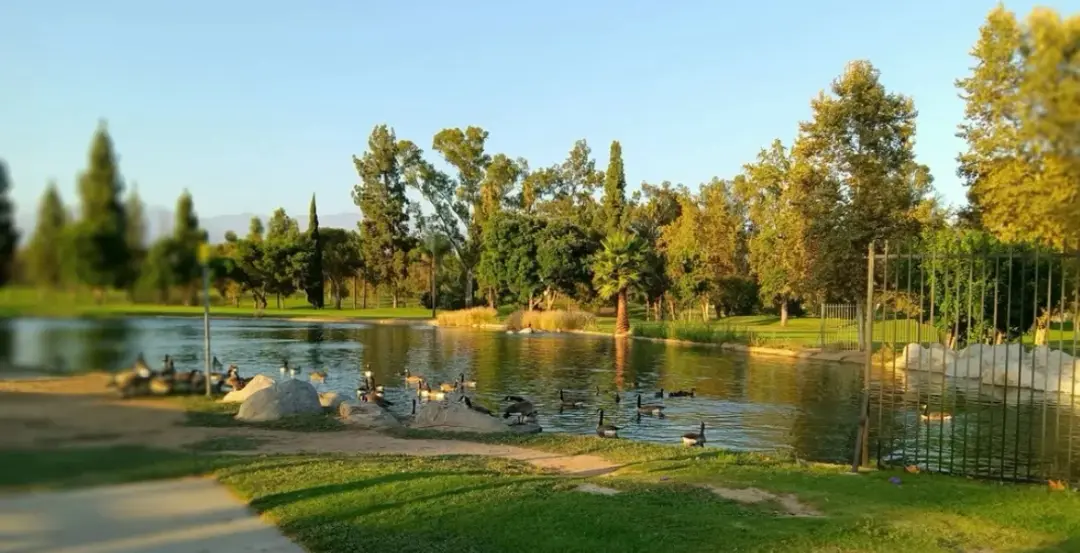 🌿 Friday Evening Park Walk: Unwind & Reset 🌿