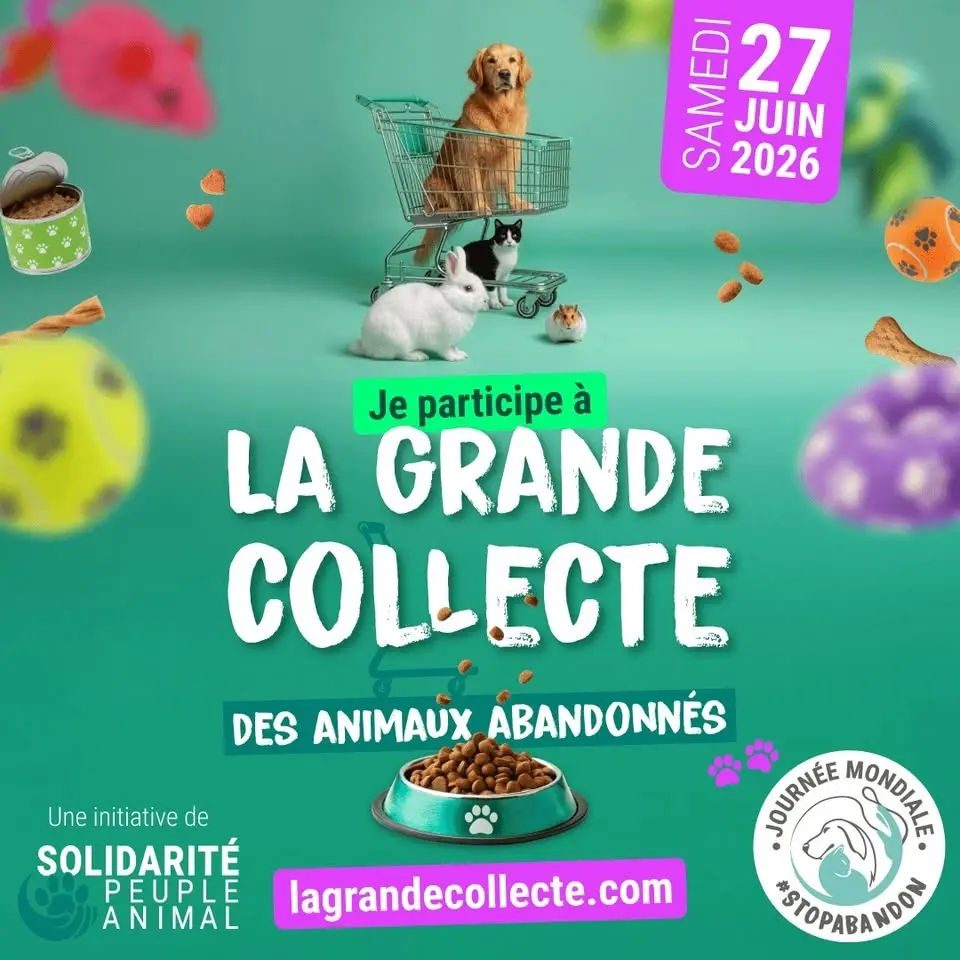Collecte de nourriture