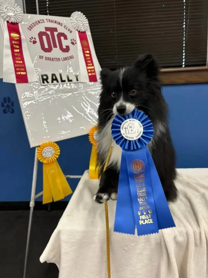 August Rally Match 