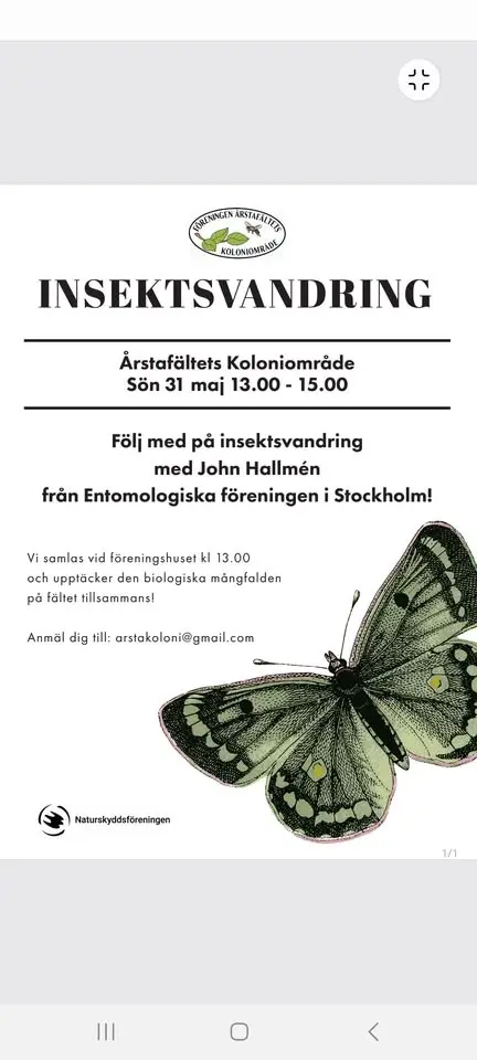 Insektsvandring