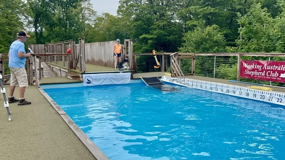 WASCUNY Dock Jumping Trial and Seminar