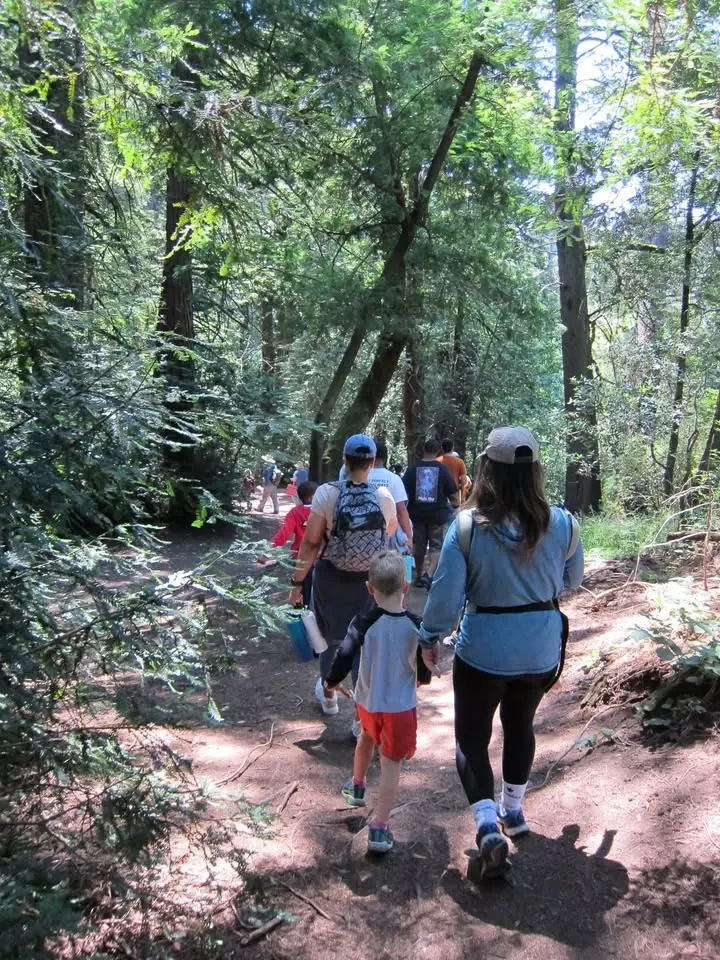 Family Nature Adventures: Reptiles