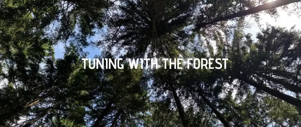 TUNING WITH THE FOREST - RETREAT