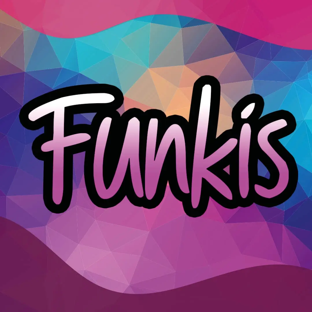 Funkis på Kalmar Stadsfest