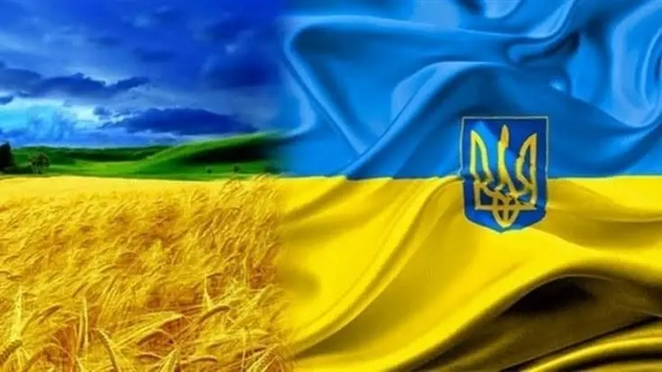 Ukraine's Independence Day Celebration