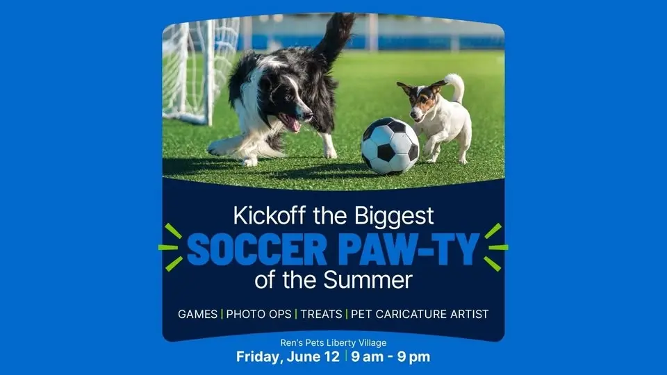 Soccer Paw-ty!