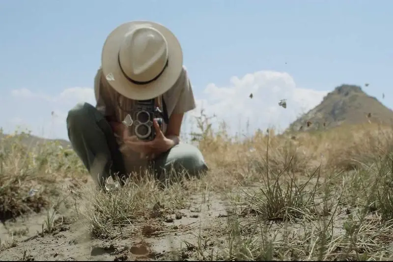 Searching for Satyrus