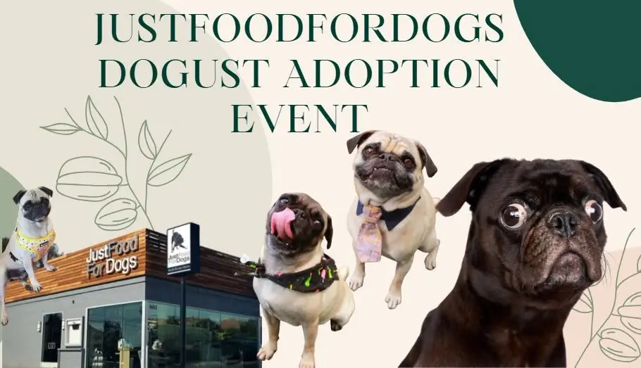 JustFoodForDogs Dogust Adoption Event