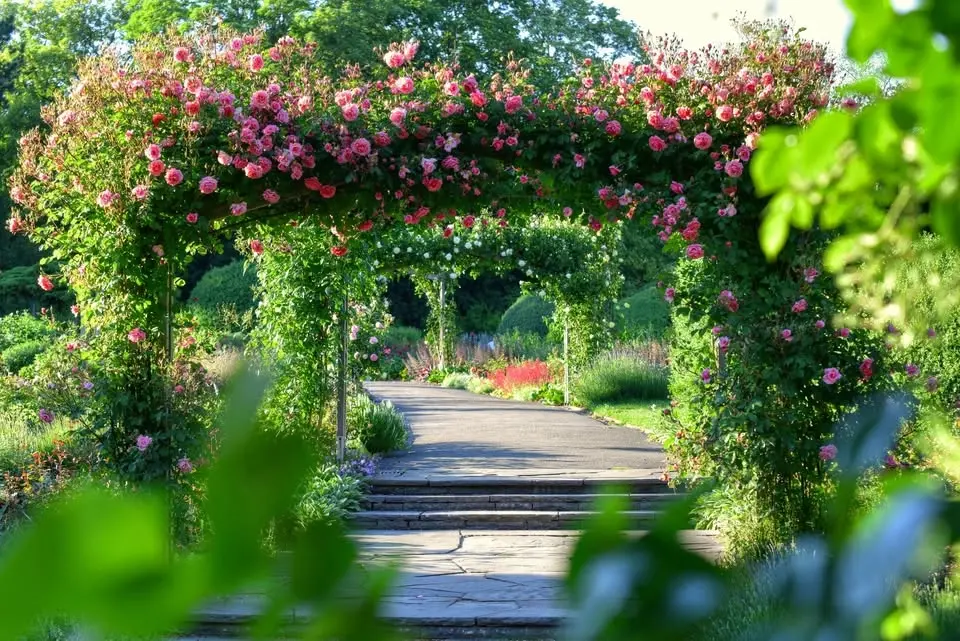 Ab in den Park – Allgemeine Parkführung 
