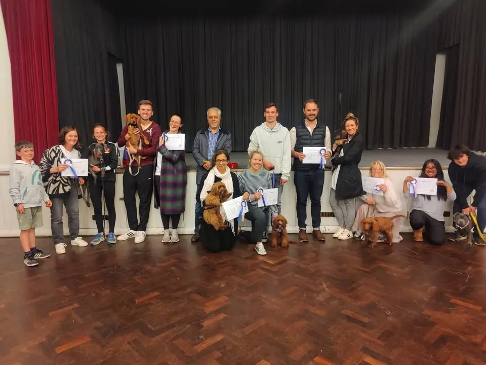 Puppy School Streatham