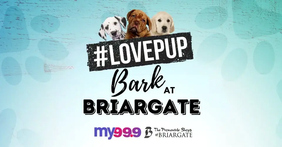 LovePup Bark at Briargate