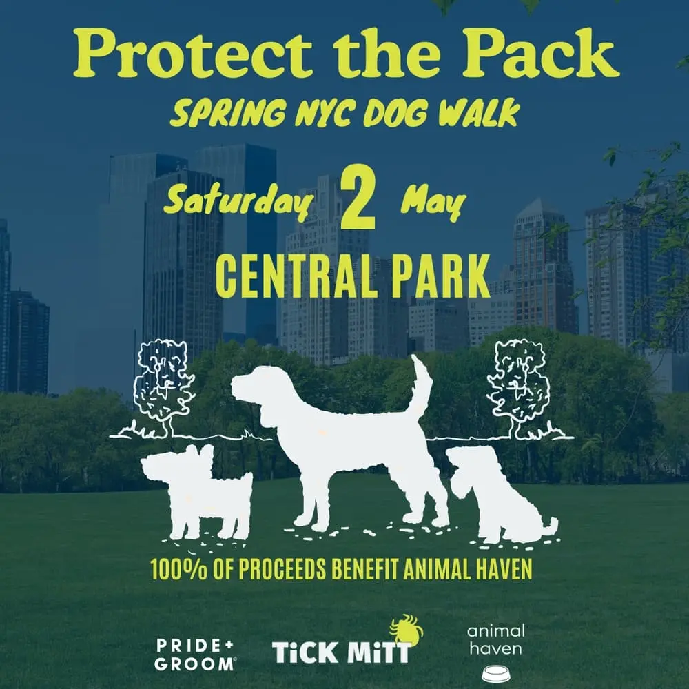 Protect the Pack NYC Dog Walk with PRIDE+GROOM and Animal Haven