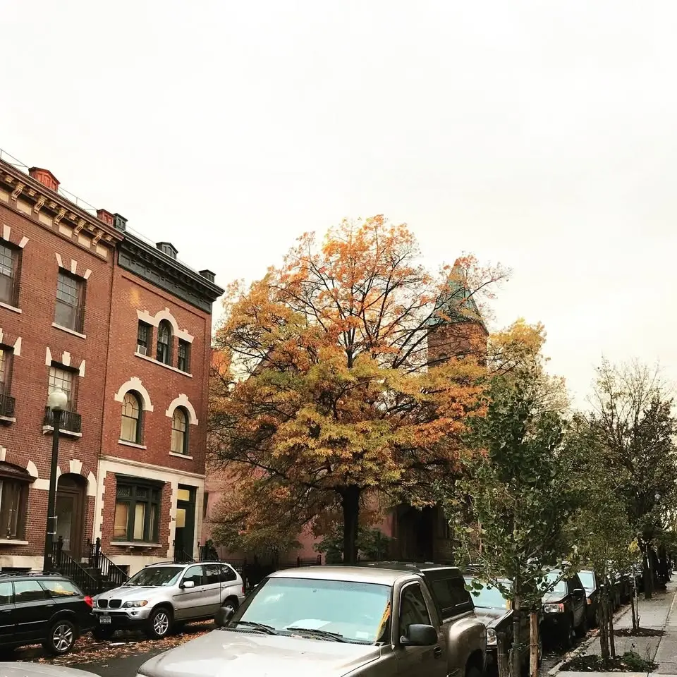 Walkable Albany Quarterly Business Meeting