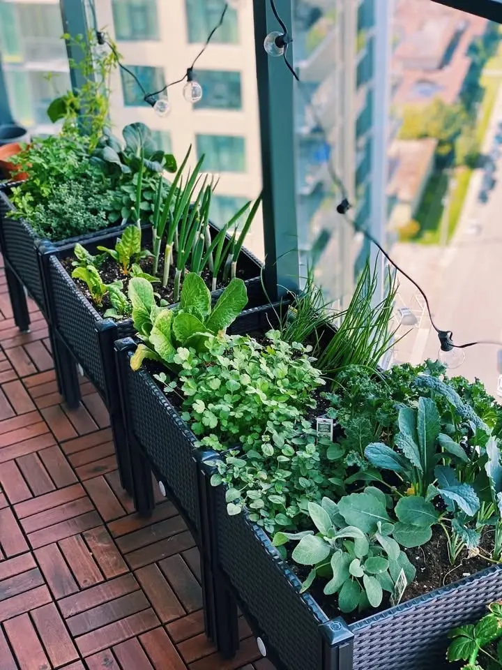 Intentional Gardening in Small Spaces