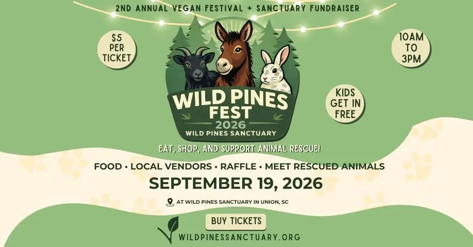 Wild Pines Fest 2026