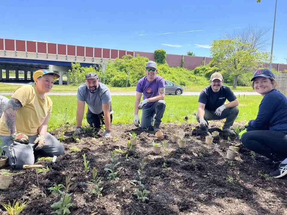 Native Garden Workday: Native garden design basics