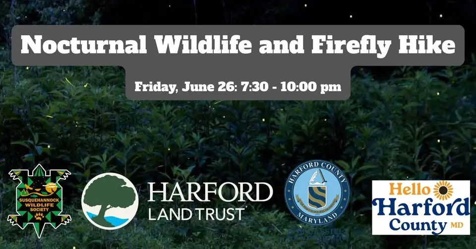 Nocturnal Wildlife and Firefly Hike