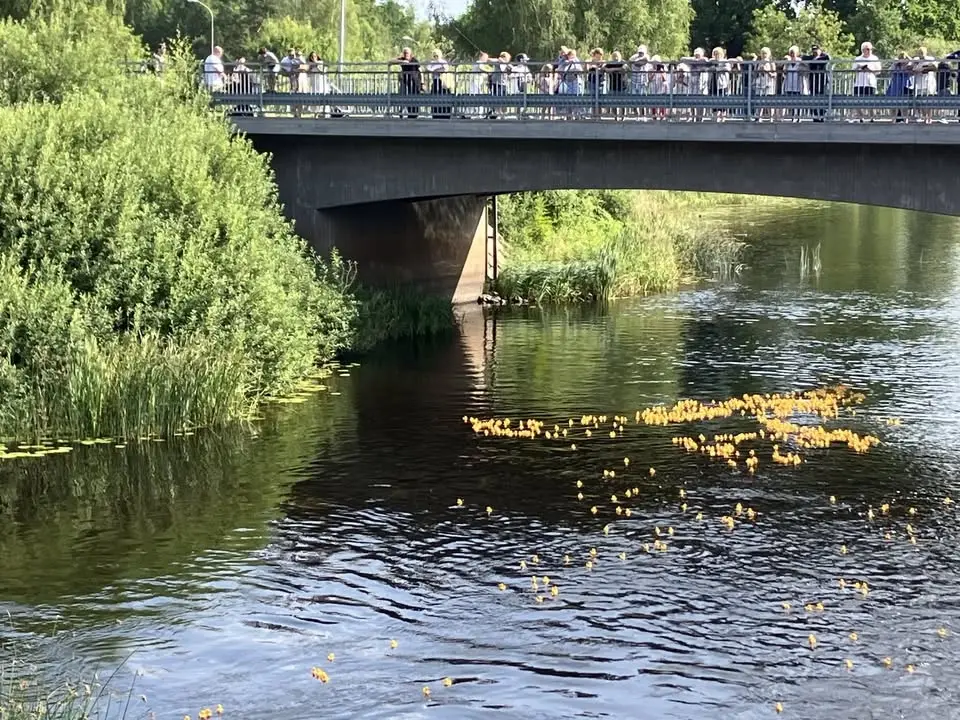 Fliserydsdagen