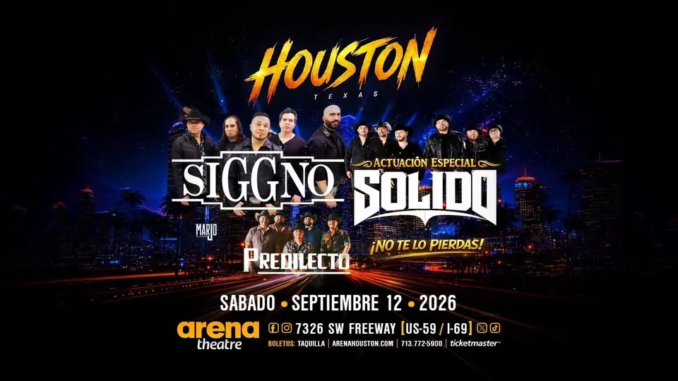Siggno, Solido y Predilecto