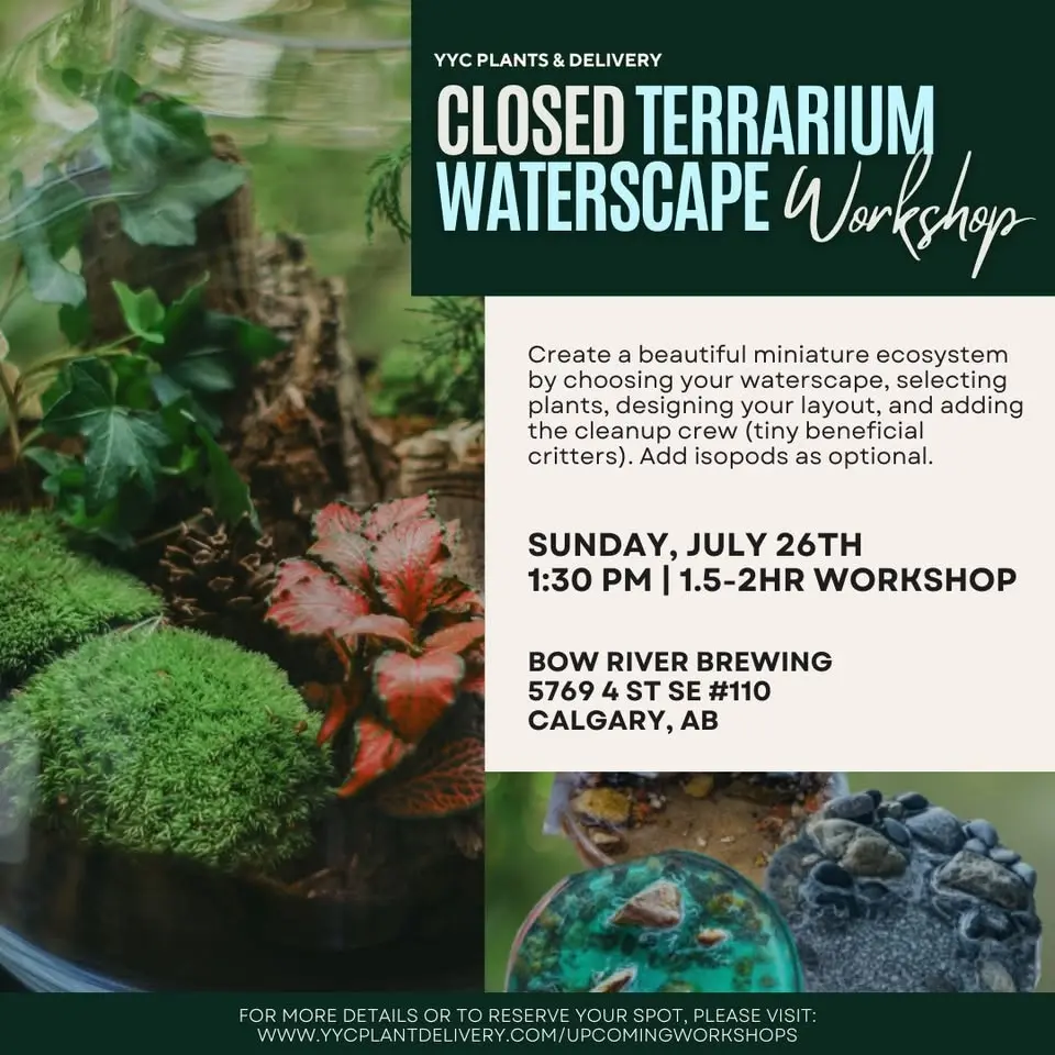 Closed Terrarium Waterscape | Bow River Brewing | 130PM