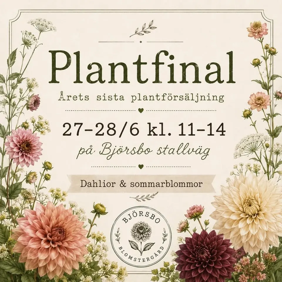 Plantfinal på Björsbo (Olofstorp/Göteborg)