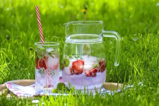 Schulschluss-Picknick