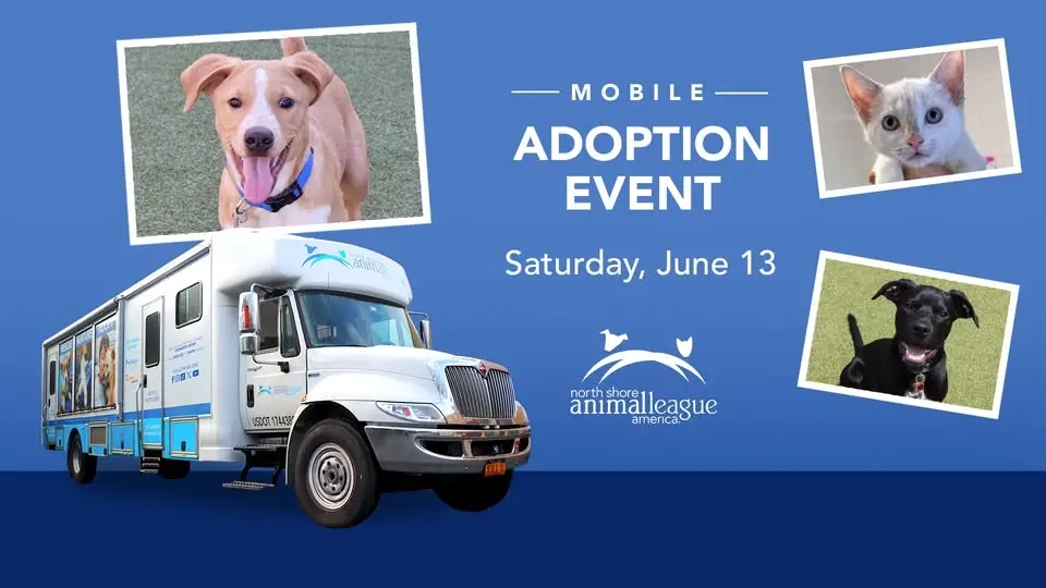 Mobile Pet Adoption Event! Dogs, Cats, Puppies, and Kittens All Available For Adoption!