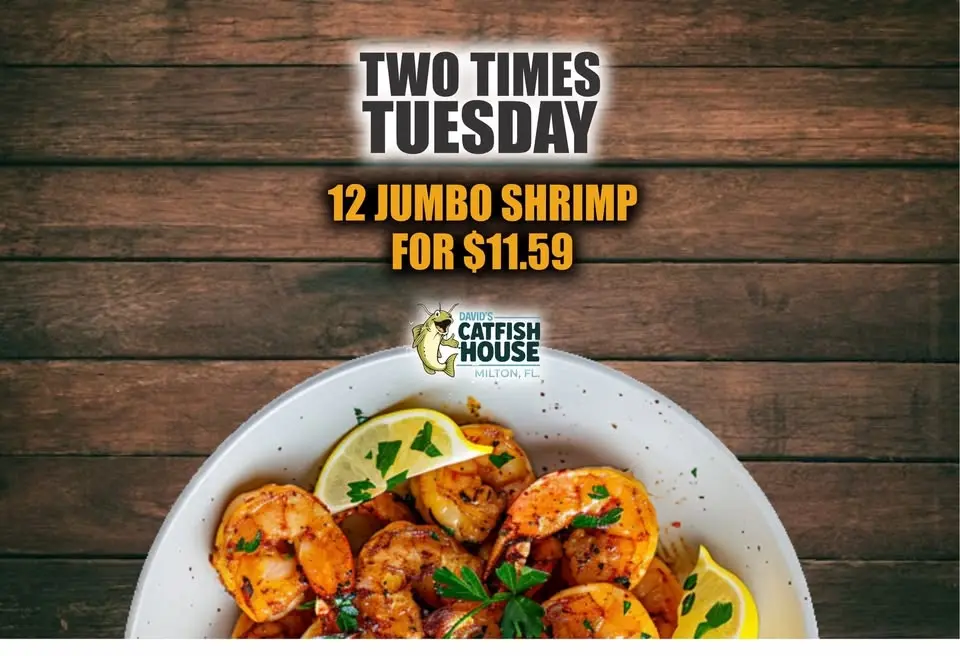 Tuesday Special