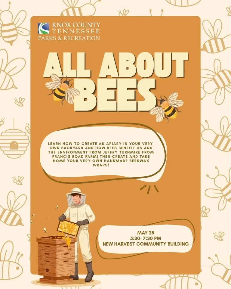 Sustainability Workshop - All About Bees