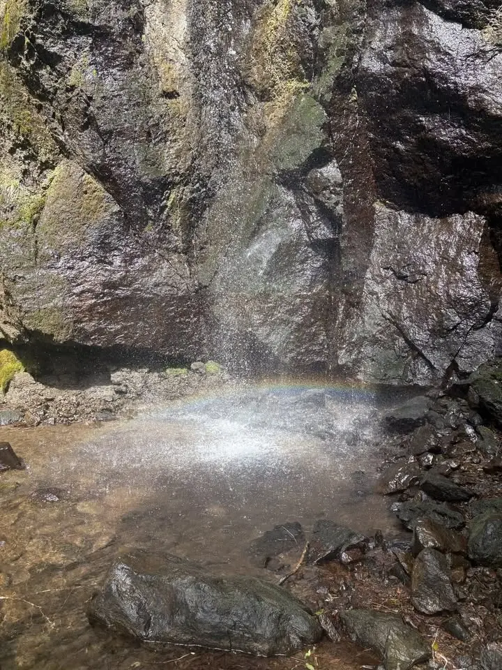 天照山・白雲の滝&去来の滝のお掃除