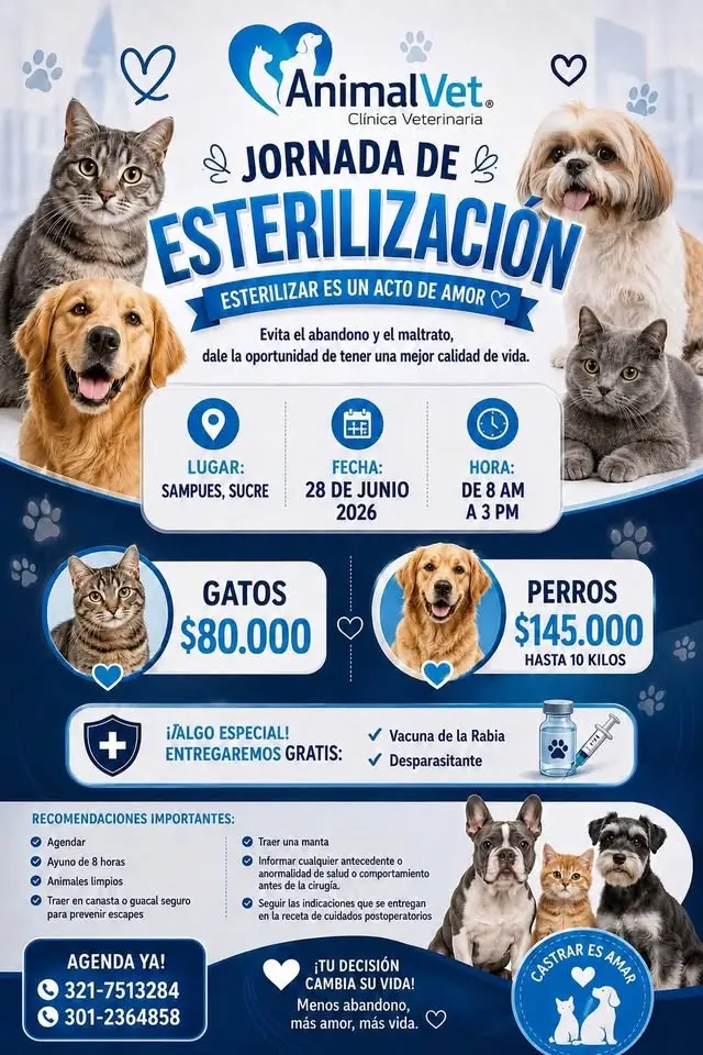 Jornada de esterilización a bajo costo