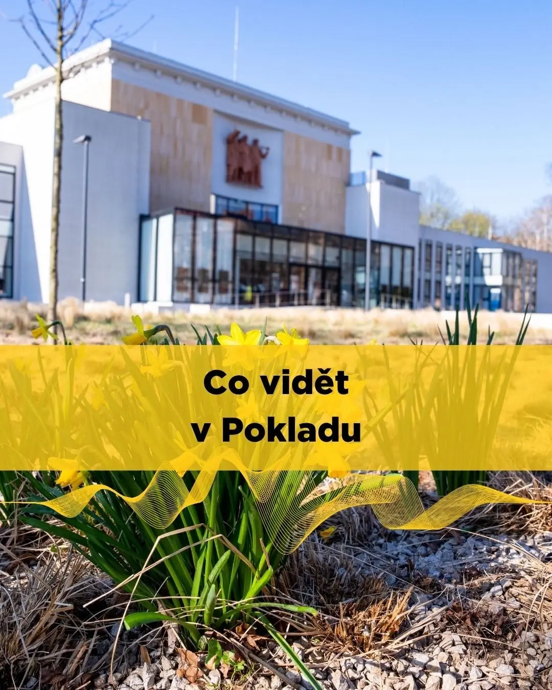 Tomík na cestách | Afrika