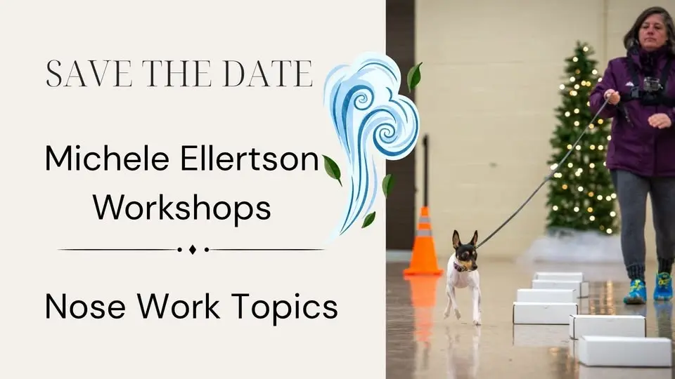 Save the Date: Michele Ellertson Nose Work Workshops