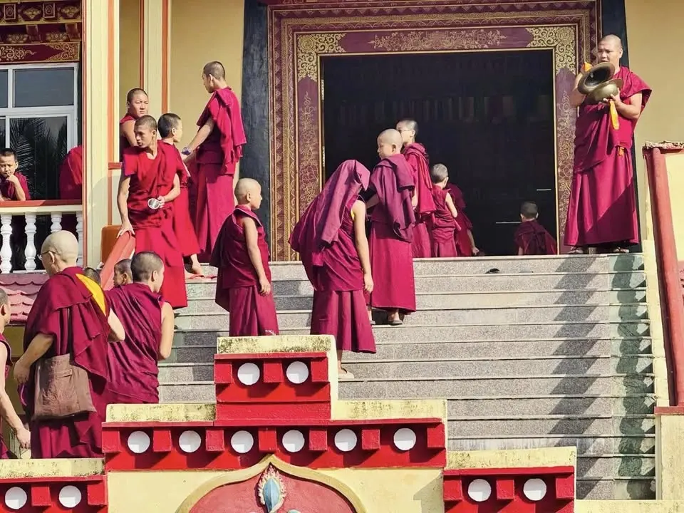 🧘♀️🌷🧘 Buddhist Philosophy-Understanding Four Noble Truths - Workshop!