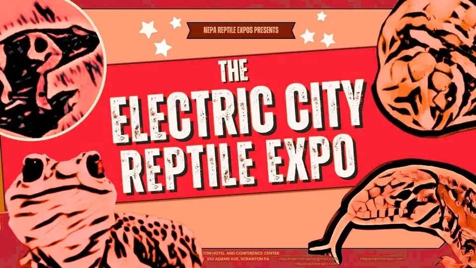 The Eleventh Electric City Reptile Expo