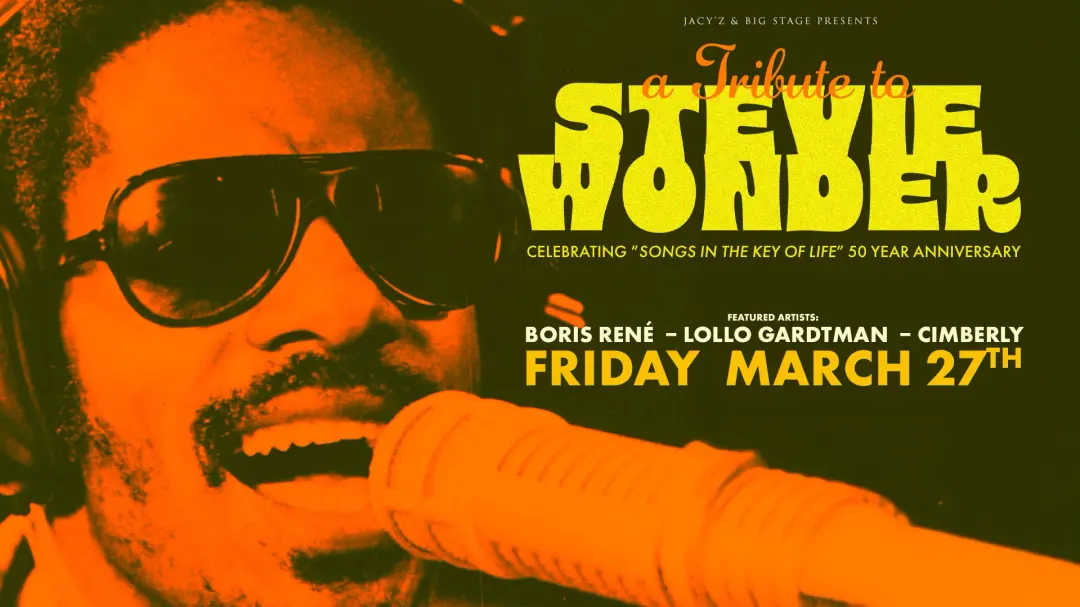 Stevie Wonder Tribute