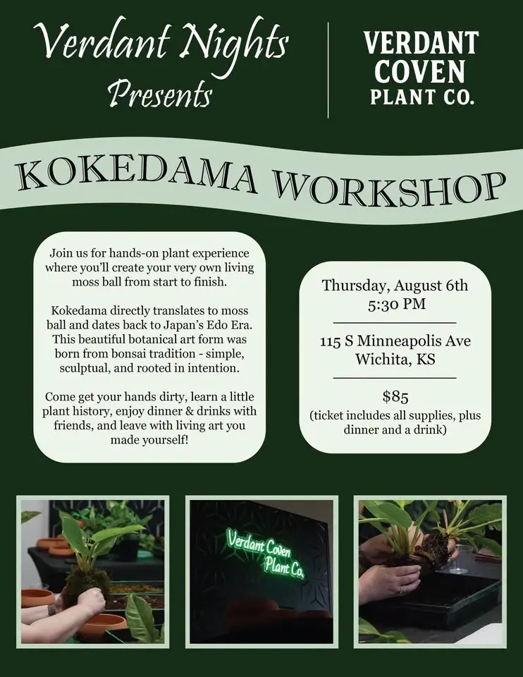 Verdant Nights: Kokedama