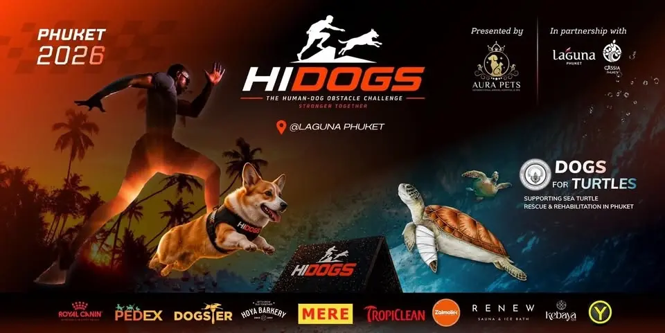 HIDOGS Phuket 2026 | The Human-Dog Obstacle Challenge